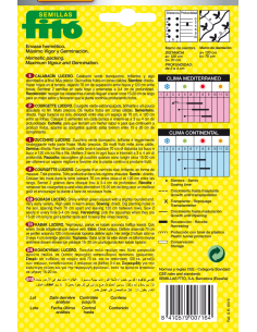 Calabacín Lucero (40 semillas) 2