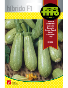 Calabacín Lucero (40 semillas)