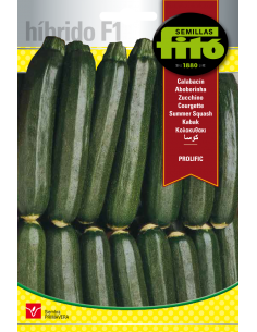 Calabacín Prolific (40...