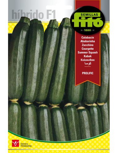 Calabacín Prolific (40 semillas)