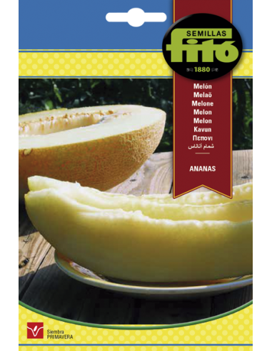 MELON ANANAS SUPERBOL