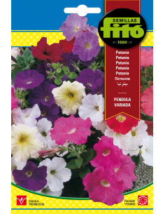 Petunia Péndula Variada...