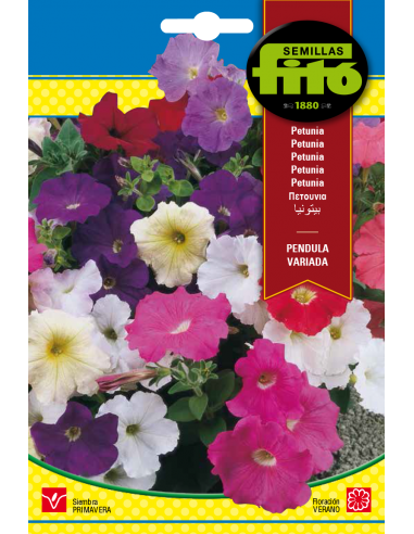 Petunia Péndula Variada (0,6 g)