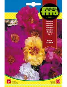 Portulaca Doble Variada...