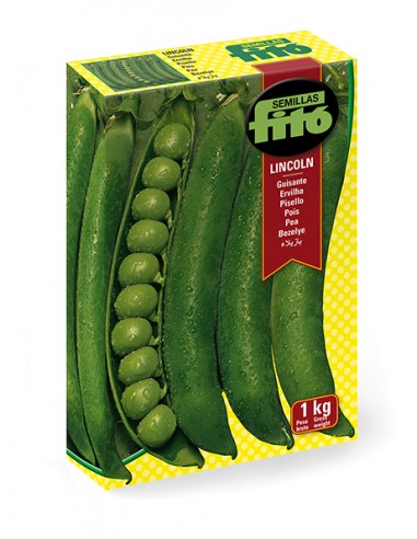 Guisante Lincoln (1kg)