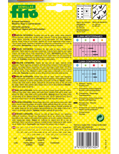 Melón Categoría (60 semillas) 2