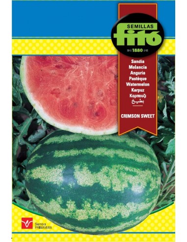 SANDIA CRIMSON SWEET SUPERBOL