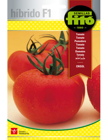 Tomate Crisol (70 semillas)