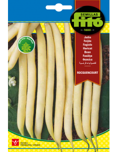 Beans Rocquencourt (60g)