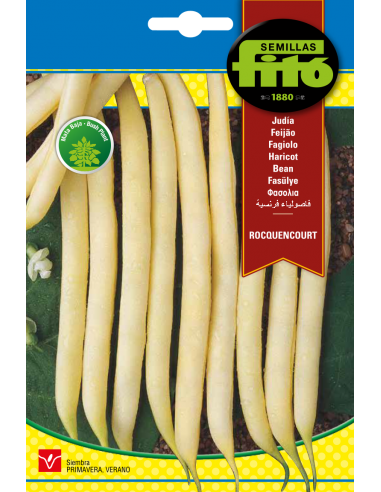 Beans Rocquencourt (60g)