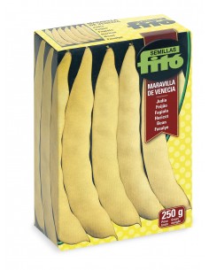 Judia Maravilla de Venecia...