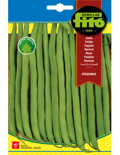 Beans Efequince (60g)