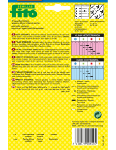 Beans Efequince (60g) 2