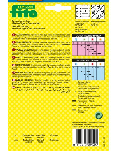 Beans Efequince (60g)