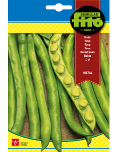 Broad bean Histal (25 seeds)