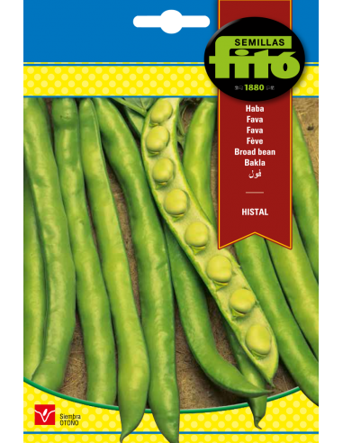 Broad bean Histal (25 seeds)