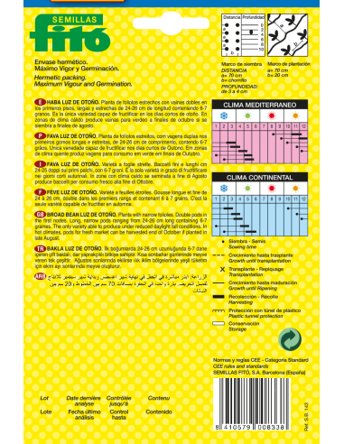 Broad bean Luz de Otoño (25 seeds)