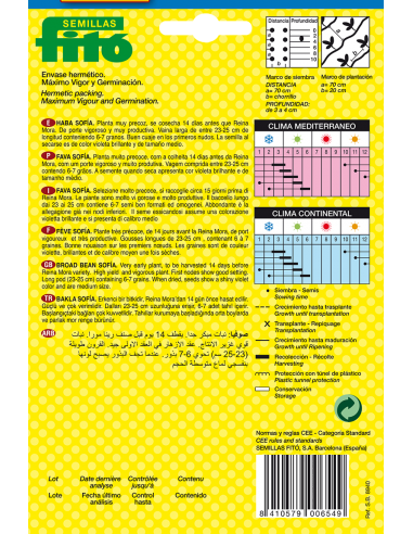 Broad bean Sofia (25 seeds)