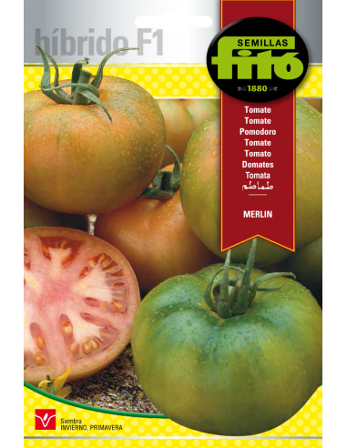 Tomate Merlín (70 semillas)