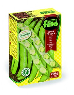 Broad bean claro de luna...