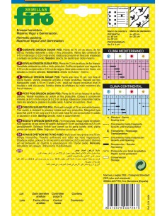 Pea oregon sugar pod (55g) 2