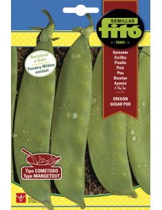 Pea oregon sugar pod (55g)