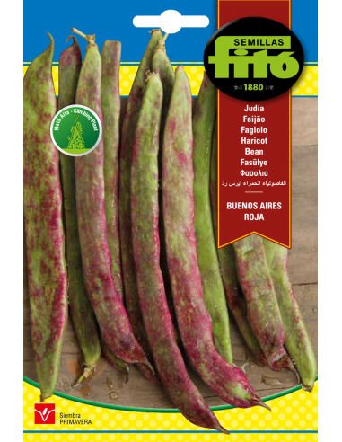 Beans Buenos aires Roja (60g)