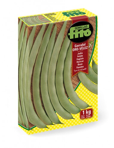 JUDIA GARRAFAL ORO - VELEZ 1 KG.