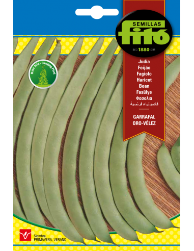 Beans Garrafal oro velez (60g)