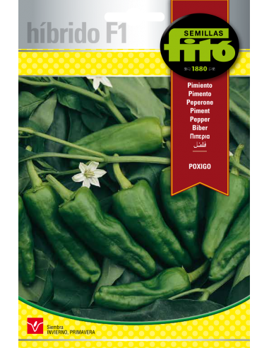 Pimiento Poxigo (60 semillas)