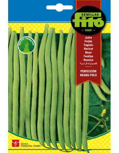 JUDIA PERFECCION NEGRA - POLO SUPERBOL