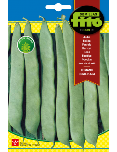 Beans Romano Bush Plaja (60g)