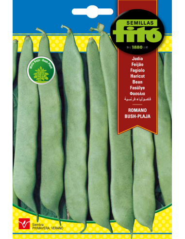 Beans Romano Bush Plaja (60g)
