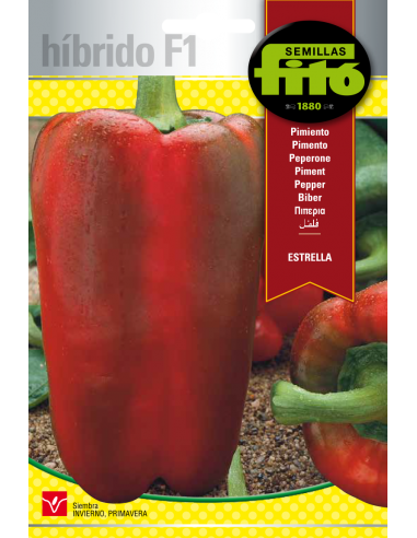 Pimiento Estrella (60 semillas)