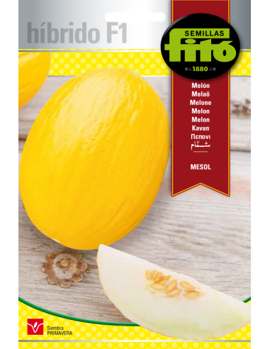Melón Mesol (60 semillas)