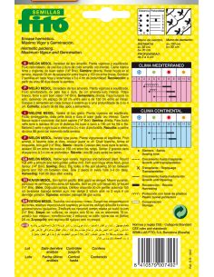 Melón Mesol (60 semillas) 2