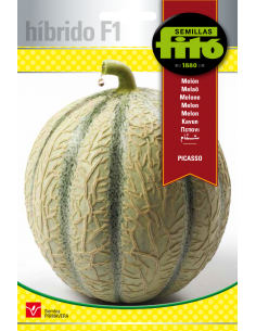 Melón Picasso (60 semillas)