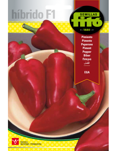 Pimiento Ega ( 60 semillas)