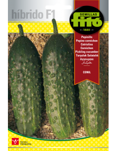Pepinillo Conil (60 semillas)