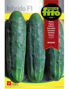 Pepino Granada (40 semillas)
