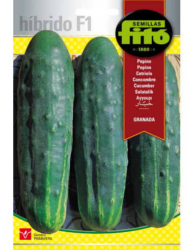 PEPINO HIB. F-1 GRANADA SUPERBOL