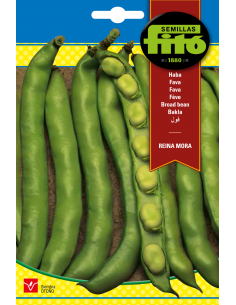 HABA REINA MORA SUPERBOL