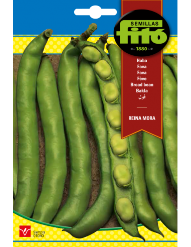 HABA REINA MORA SUPERBOL