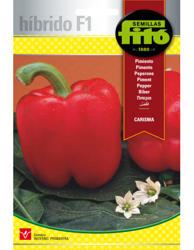 Pimiento Carisma (60 semillas)
