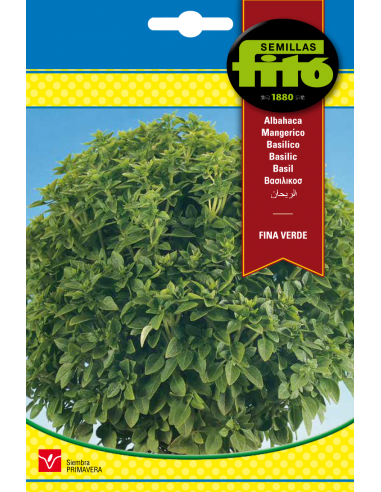 Albahaca Fina Verde (4,5 g)