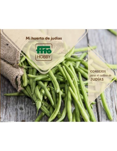 Folleto desplegable: judías (ES)