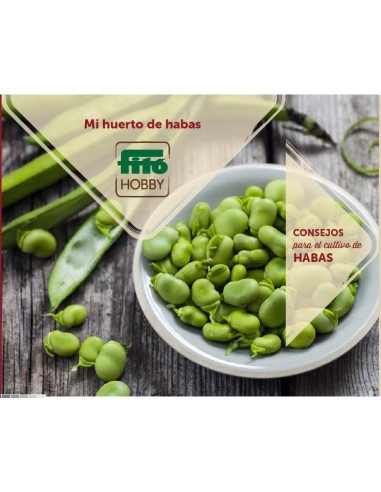 Folleto desplegable: habas (ES)