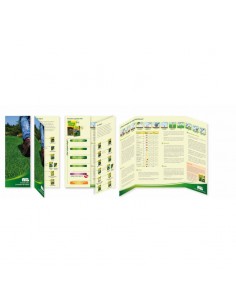 Tríptico de formación:...