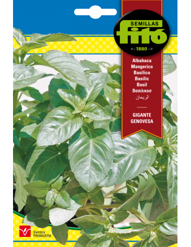Albahaca Gigante Genovesa (3 g)
