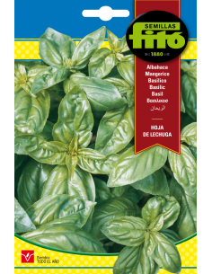Albahaca Hoja de Lechuga...